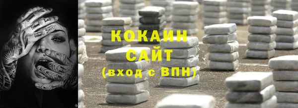 шишки Армянск