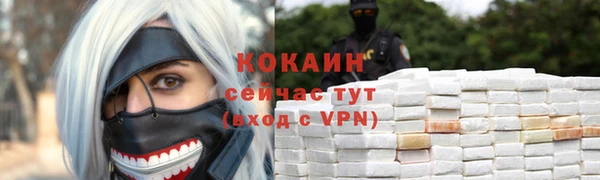 ешки Аркадак