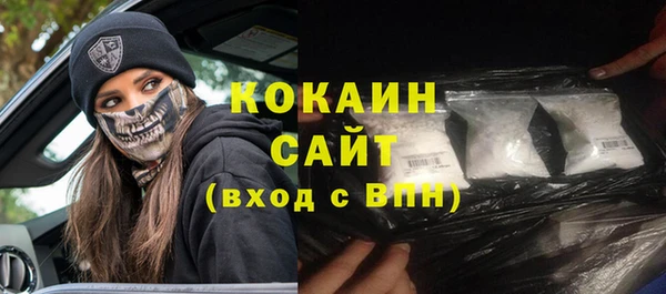 ешки Аркадак