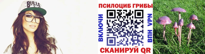 Псилоцибиновые грибы мицелий  купить закладку  нарко площадка телеграм  Усть-Илимск 